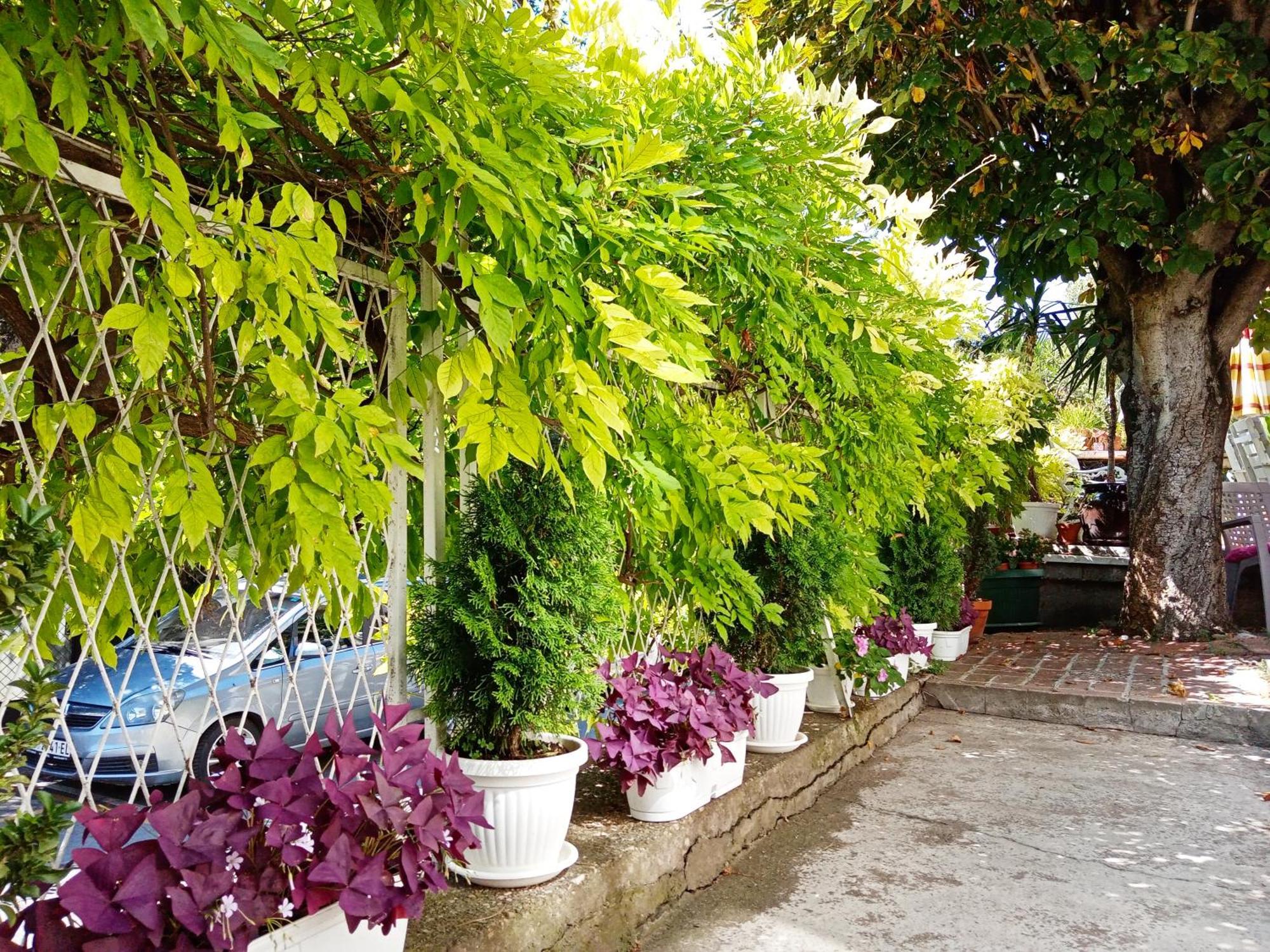 Belgrade Apartment Happy Garden Eksteriør bilde