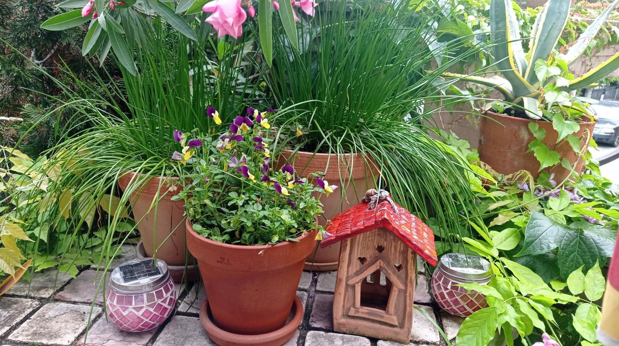 Belgrade Apartment Happy Garden Eksteriør bilde