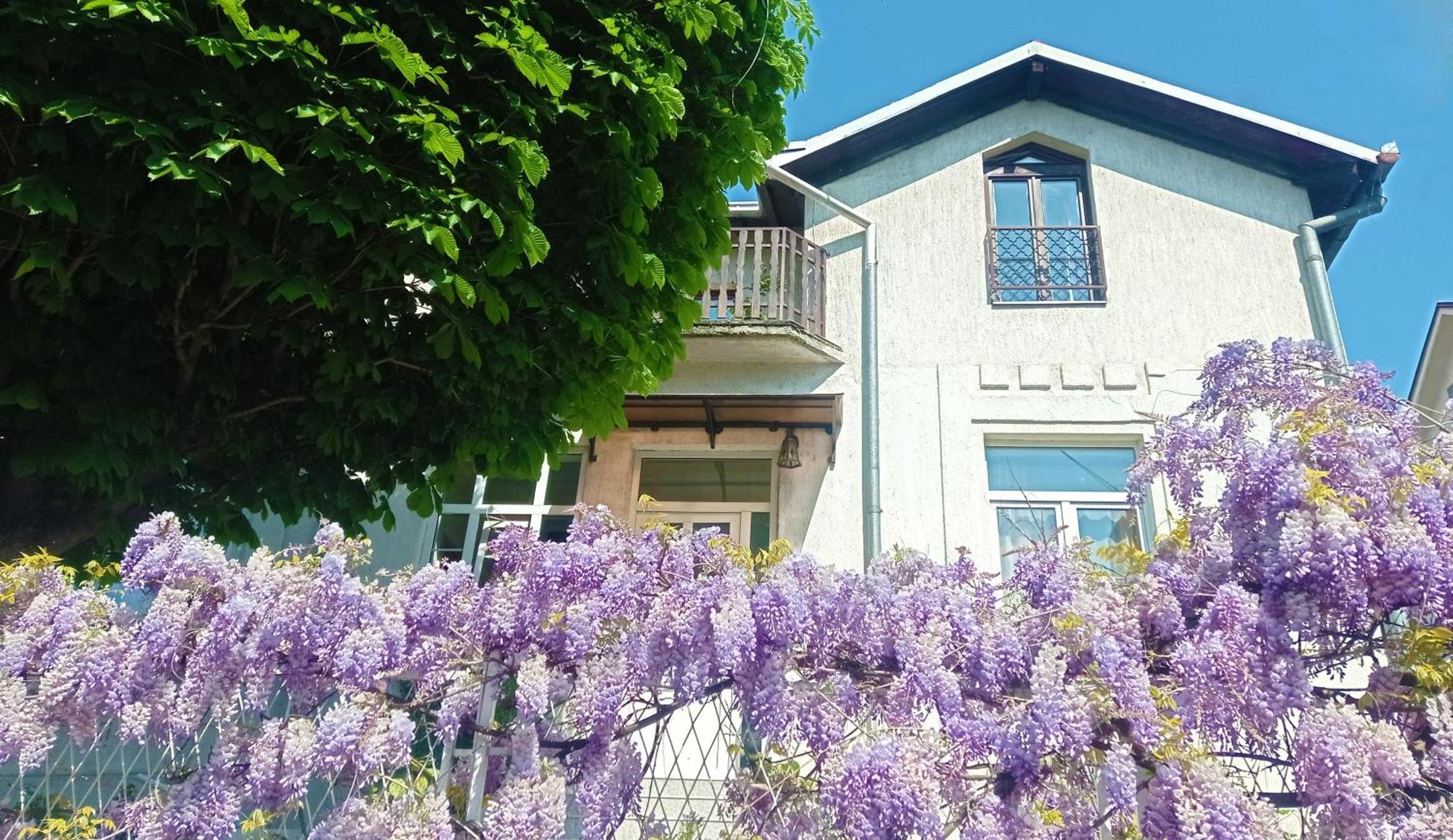 Belgrade Apartment Happy Garden Eksteriør bilde