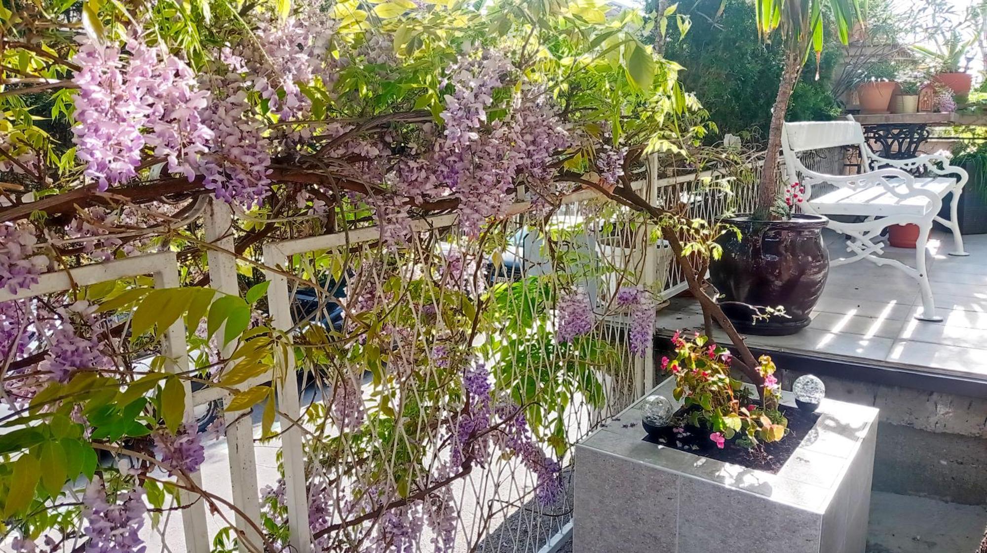 Belgrade Apartment Happy Garden Eksteriør bilde