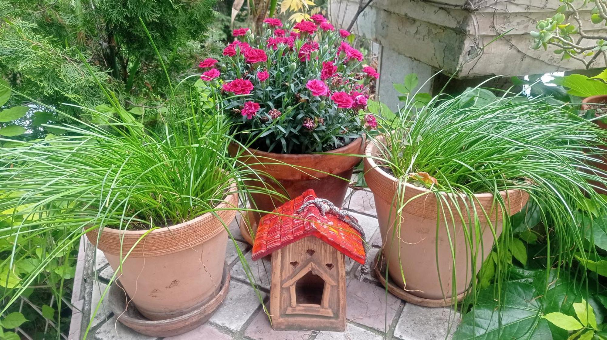 Belgrade Apartment Happy Garden Eksteriør bilde